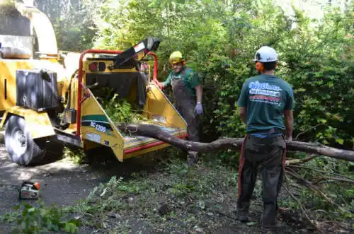 tree services Fontana